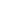Linkedin Icon